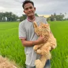 zul.hairi439
