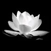 thao241827