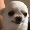 nellylalala0