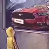 stevenbuzzcoxs13