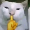 dopaminhappy000