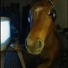keksblya