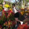 meo_ngoan999
