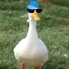 aronperez800