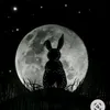 adrianaoliveira46732