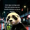 chinosan23
