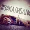 bbuyashaaa