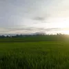 orangorang1234456