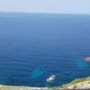 alilaw93