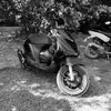 masterdriver55
