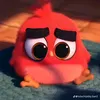 duy_apex1