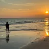 desirearossino