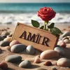 amir_diab_