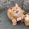 mrcatwantshismeal