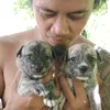 jahlovetraveladventure