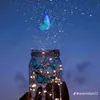 evelynpaz13