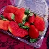 waleedqandel00