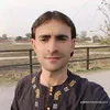 muhammadgul215