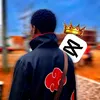 official_v1xen
