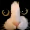 lookslikeimissedthejoke