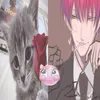 iu_hisoka_cuto