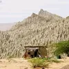 fiaz.bugti76