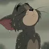 mrnawab_804