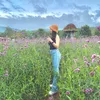 vivi.hmv