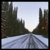 bree_68_w