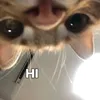 mhmdridw4n_