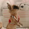 hanbaobaooo