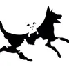 the_dogtor666