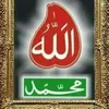 fatimakhan_313