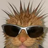 lingg4arr