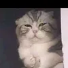 ngan_pp