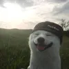 _thegoat_tts