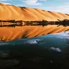 mohaboaa