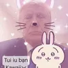 _tr.thlinn