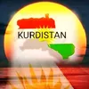 ayshan.01