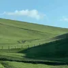 murtianikheysa