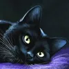 dark_snus_