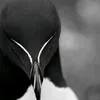 alejandro.7mz