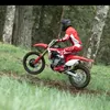 estuardosolis12