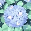 ch_loe722