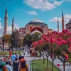 rouba.a