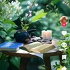 anilaali_786