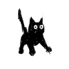 ★cɑms