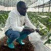 frangyfarmsconsult