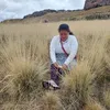 celiahuallpa