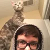 sirwilfrederick